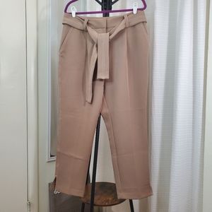 NY and Company Tan Pants 7th Avenue Design Studio NWOT size 14